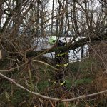 Nebezpečné vetvy na cykloceste