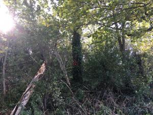 20171029 pohotovost02