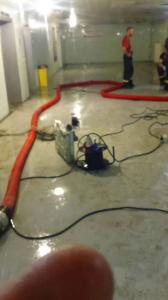 38512031 663498460677204 590296723159515136 n